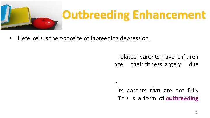 Outbreeding Enhancement • Heterosis is the opposite of inbreeding depression. • Inbreeding depression occurs