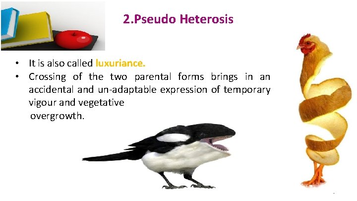 2. Pseudo Heterosis • It is also called luxuriance. • Crossing of the two