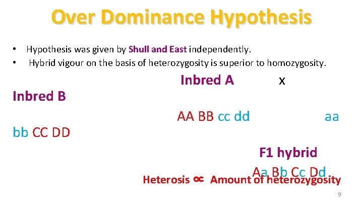 Over Dominance Hypothesis • Hypothesis was given by Shull and East independently. • Hybrid