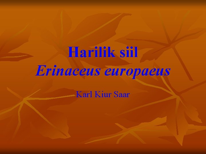 Harilik siil Erinaceus europaeus Karl Kiur Saar 