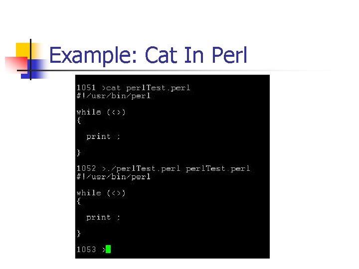Example: Cat In Perl 