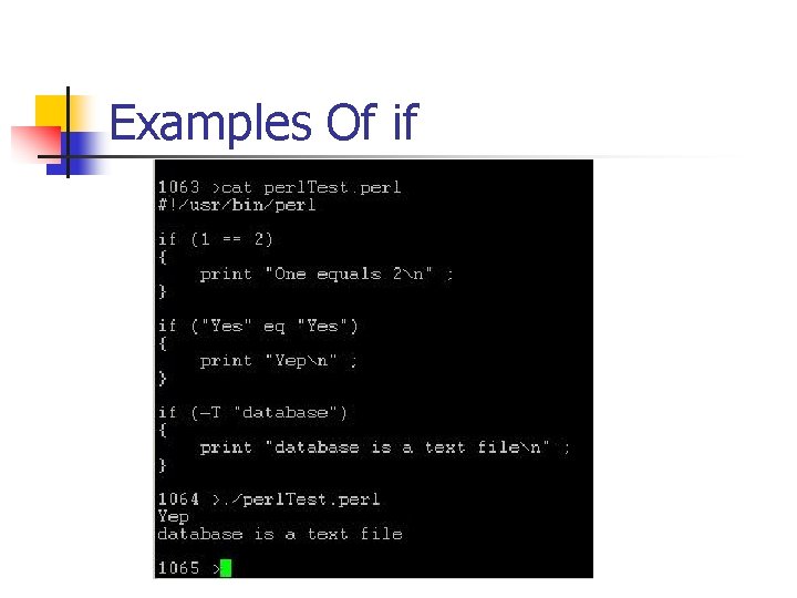Examples Of if 