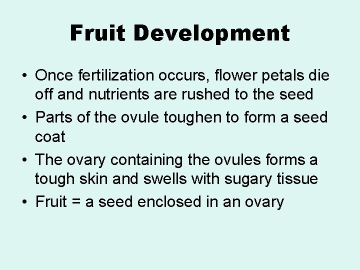 Fruit Development • Once fertilization occurs, flower petals die off and nutrients are rushed