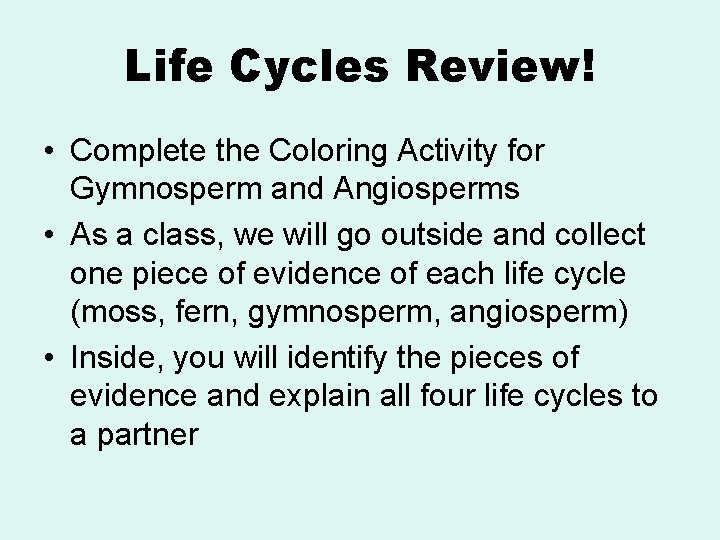 Life Cycles Review! • Complete the Coloring Activity for Gymnosperm and Angiosperms • As