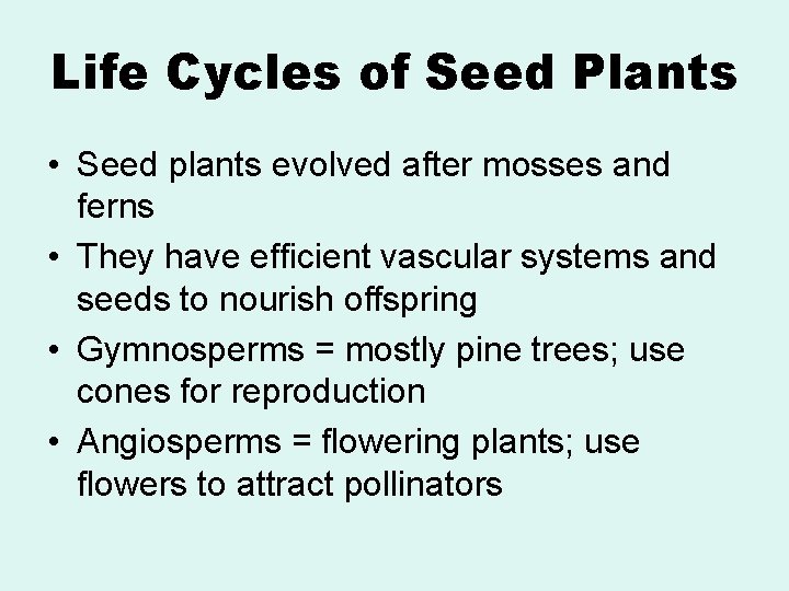 Life Cycles of Seed Plants • Seed plants evolved after mosses and ferns •