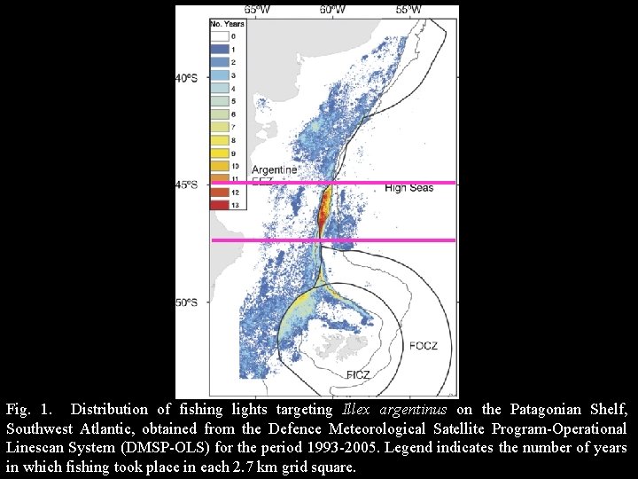 Fig. 1. Distribution of fishing lights targeting Illex argentinus on the Patagonian Shelf, Southwest