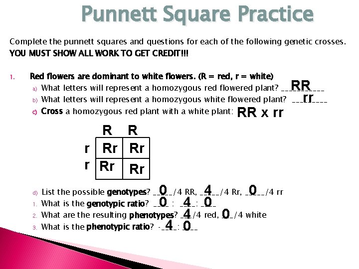 Punnett Square Practice Complete the punnett squares and questions for each of the following