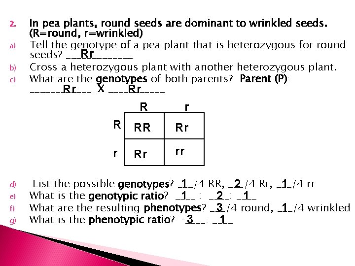 2. a) b) c) In pea plants, round seeds are dominant to wrinkled seeds.