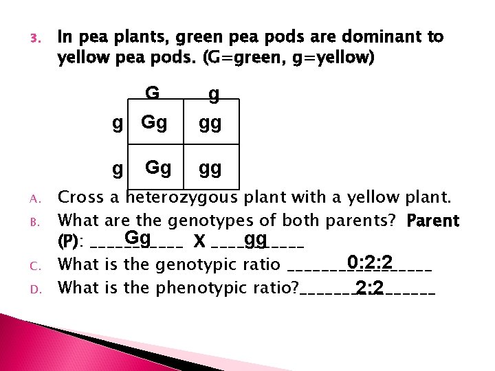 3. In pea plants, green pea pods are dominant to yellow pea pods. (G=green,