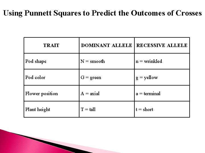 Using Punnett Squares to Predict the Outcomes of Crosses TRAIT DOMINANT ALLELE RECESSIVE ALLELE