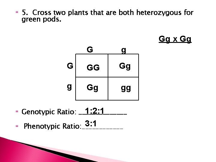  5. Cross two plants that are both heterozygous for green pods. Gg x