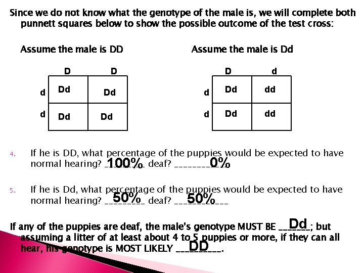 Since we do not know what the genotype of the male is, we will