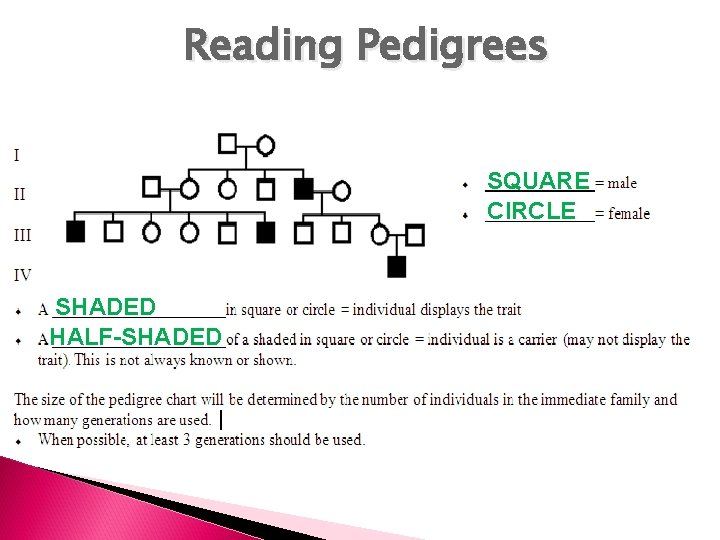 Reading Pedigrees SQUARE CIRCLE SHADED HALF-SHADED 