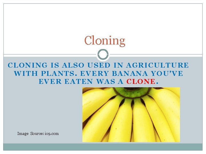 Cloning CLONING IS ALSO USED IN AGRICULTURE WITH PLANTS. EVERY BANANA YOU’VE EVER EATEN