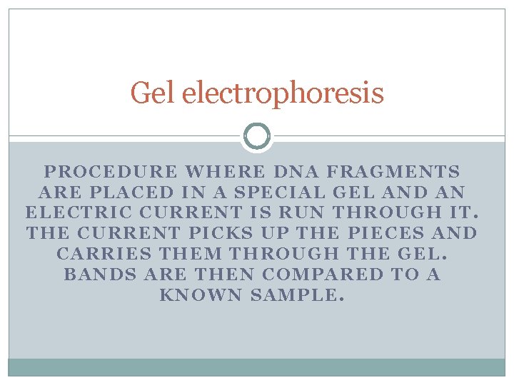 Gel electrophoresis PROCEDURE WHERE DNA FRAGMENTS ARE PLACED IN A SPECIAL GEL AND AN