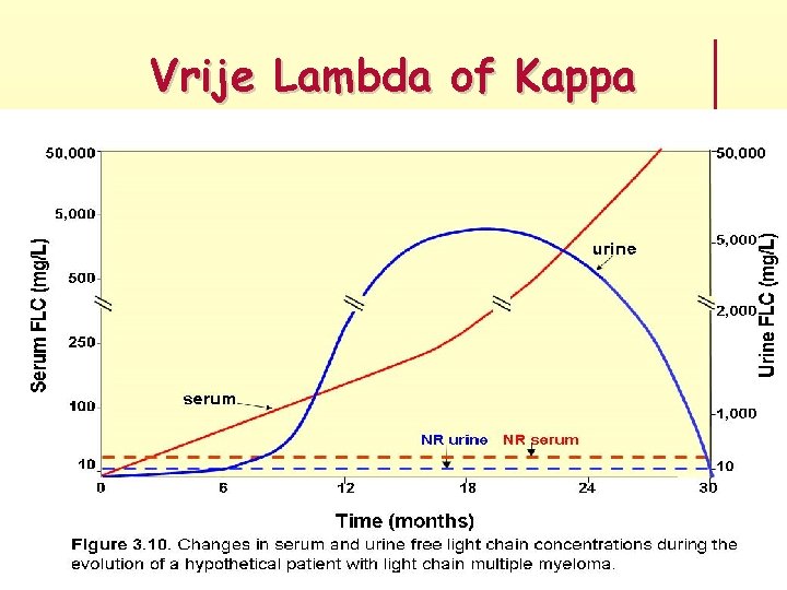 Vrije Lambda of Kappa Vrije Lambda of Kappa