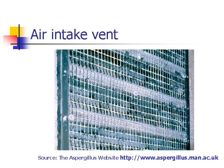 Air intake vent Source: The Aspergillus Website http: //www. aspergillus. man. ac. uk 