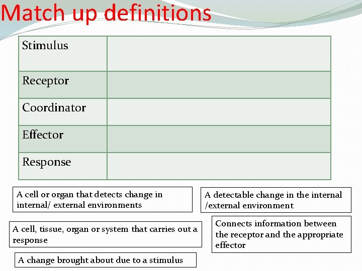 Match up definitions Stimulus Receptor Coordinator Effector Response A cell or organ that detects