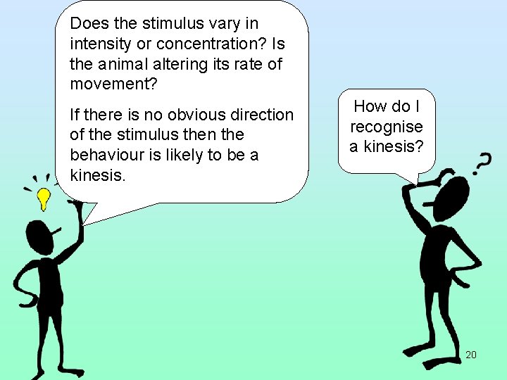 Does the stimulus vary in intensity or concentration? Is the animal altering its rate