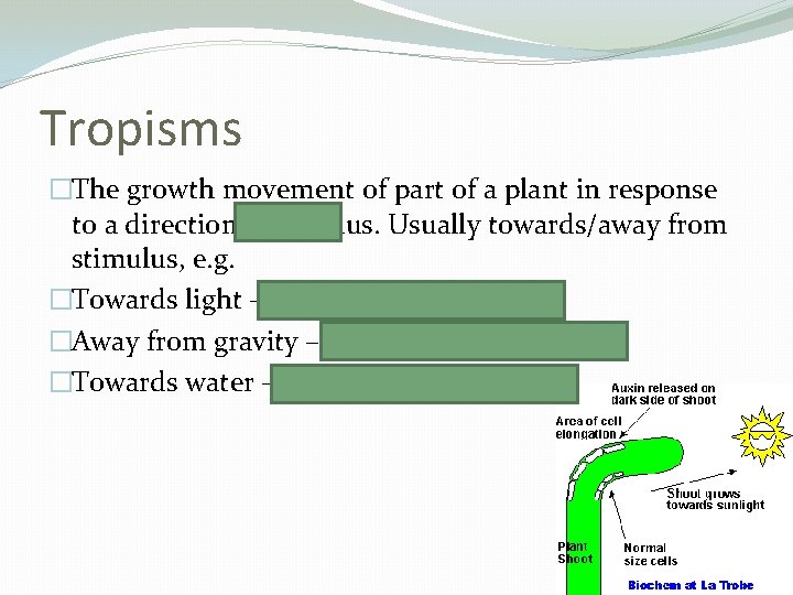 Tropisms �The growth movement of part of a plant in response to a directional