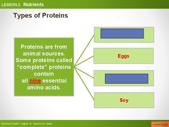 LESSON 2 Nutrients Types of Proteins Meat Proteins are from animal sources. Some proteins