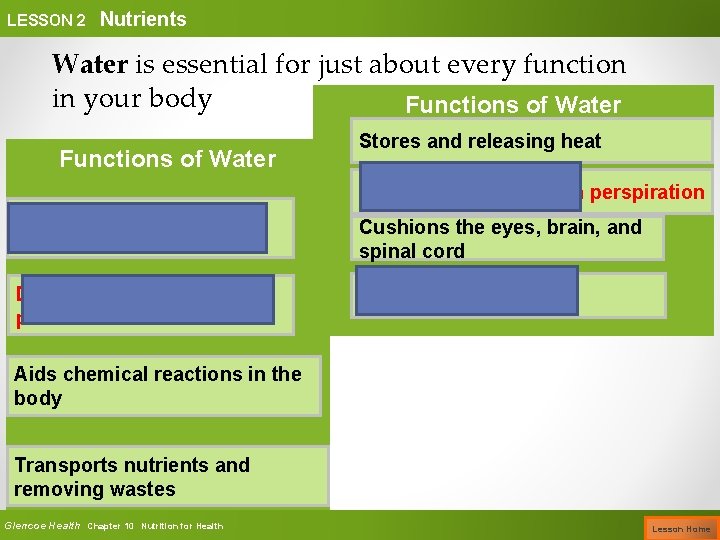 LESSON 2 Nutrients Water is essential for just about every function in your body