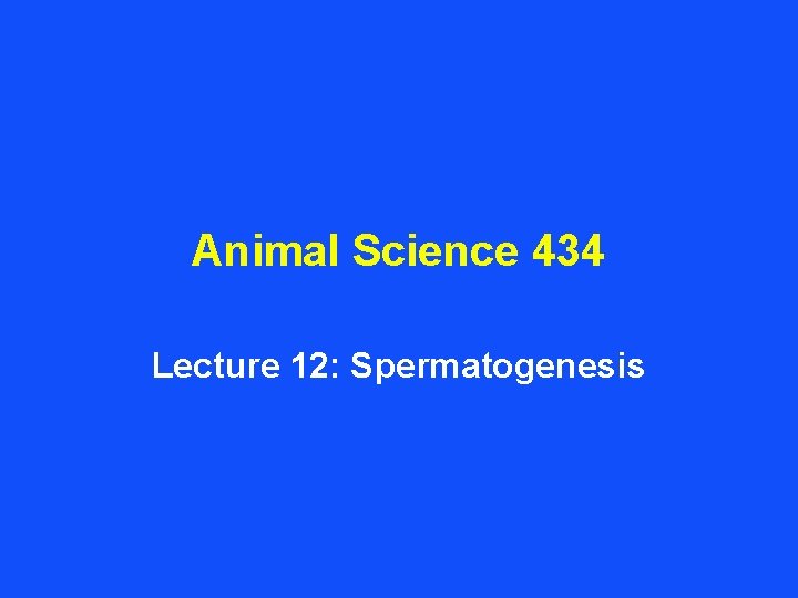 Animal Science 434 Lecture 12: Spermatogenesis 