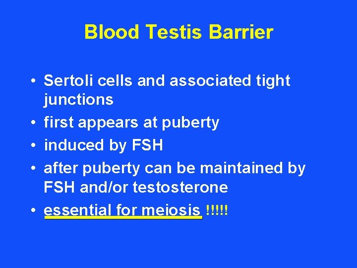 Blood Testis Barrier • Sertoli cells and associated tight junctions • first appears at