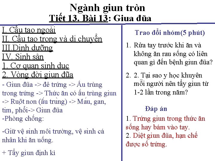 Ngành giun tròn Tiết 13. Bài 13: Giua đũa I. Cấu tạo ngoài II.