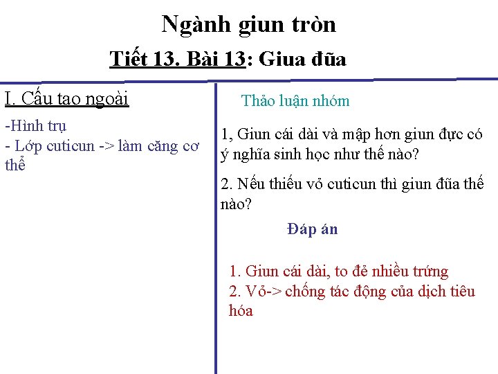 Ngành giun tròn Tiết 13. Bài 13: Giua đũa I. Cấu tạo ngoài -Hình