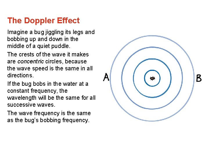 The Doppler Effect Imagine a bug jiggling its legs and bobbing up and down