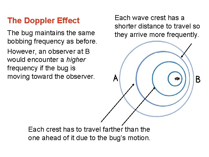 The Doppler Effect The bug maintains the same bobbing frequency as before. However, an