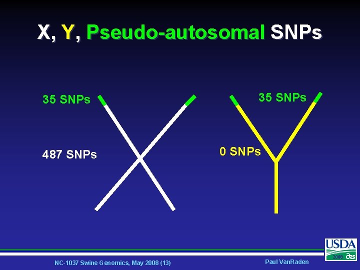 X, Y, Pseudo-autosomal SNPs 35 SNPs 487 SNPs NC-1037 Swine Genomics, May 2008 (13)
