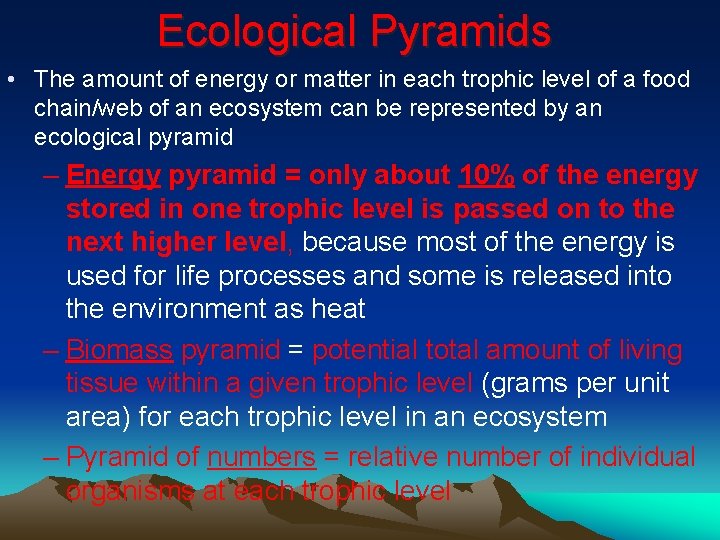 Ecological Pyramids • The amount of energy or matter in each trophic level of