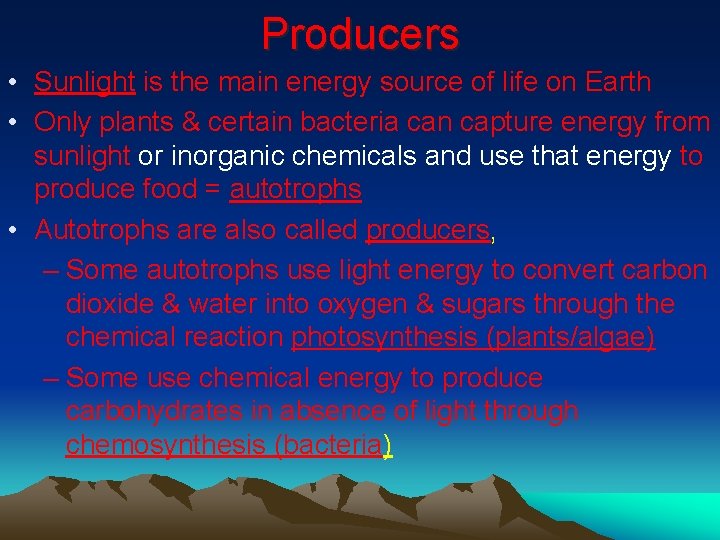 Producers • Sunlight is the main energy source of life on Earth • Only
