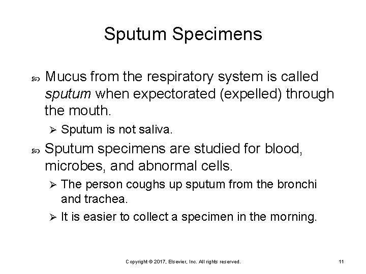 Sputum Specimens Mucus from the respiratory system is called sputum when expectorated (expelled) through