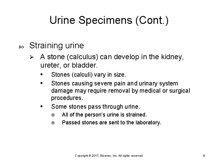Urine Specimens (Cont. ) Straining urine Ø A stone (calculus) can develop in the