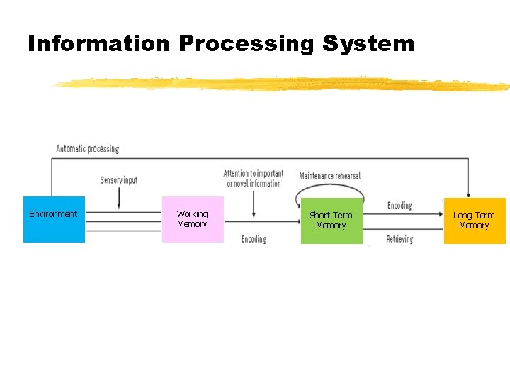 Information Processing System Environment Working Memory Short-Term Memory Long-Term Memory 