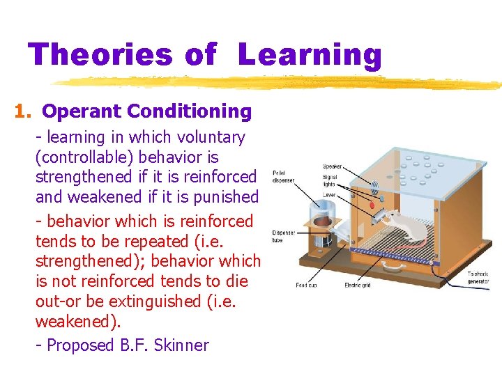 Theories of Learning 1. Operant Conditioning - learning in which voluntary (controllable) behavior is