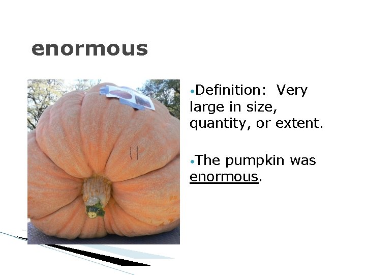 enormous • Definition: Very large in size, quantity, or extent. • The pumpkin was enormous • Definition: Very large in size, quantity, or extent. • The pumpkin was