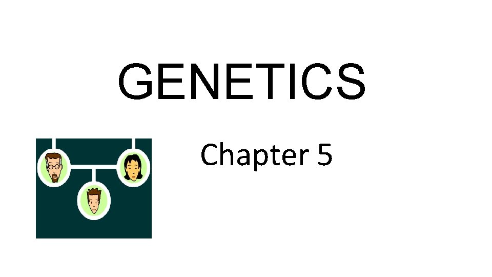 GENETICS Chapter 5 