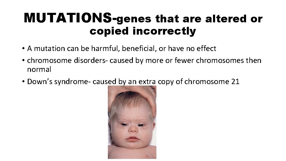 MUTATIONS-genes that are altered or copied incorrectly • A mutation can be harmful, beneficial,
