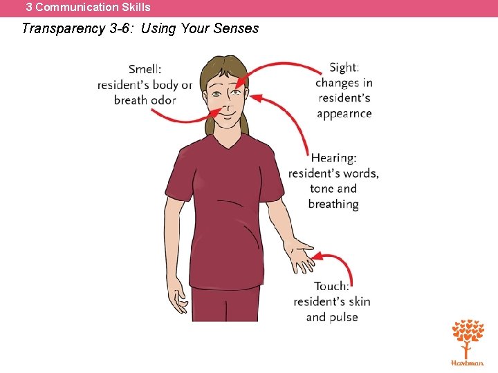 3 Communication Skills Transparency 3 -6: Using Your Senses 