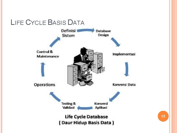 LIFE CYCLE BASIS DATA 13 