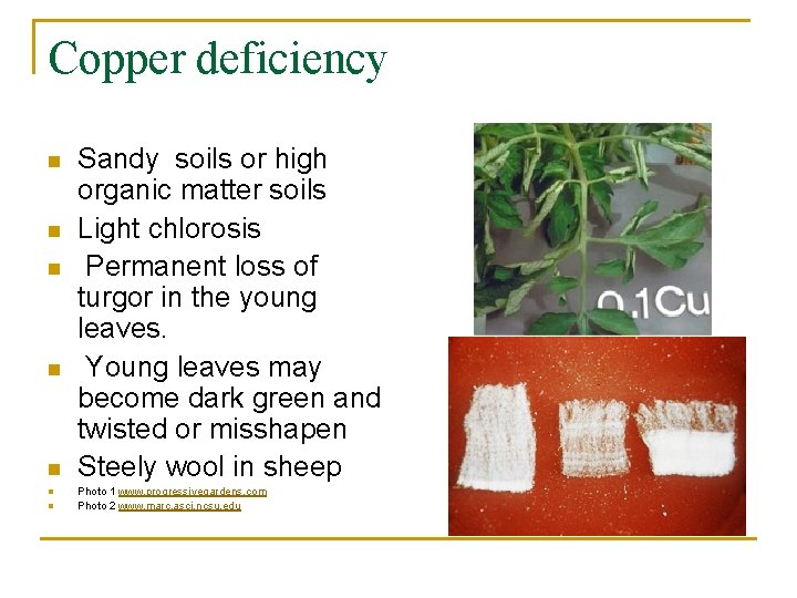 Copper deficiency n n n n Sandy soils or high organic matter soils Light