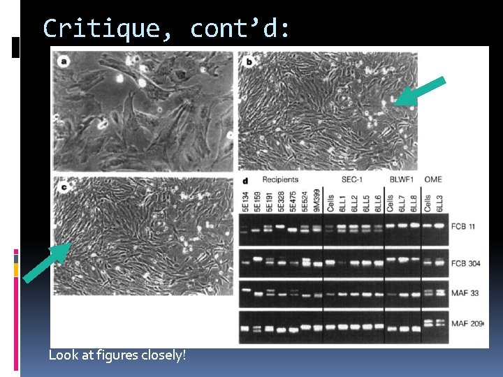 Critique, cont’d: Look at figures closely! 