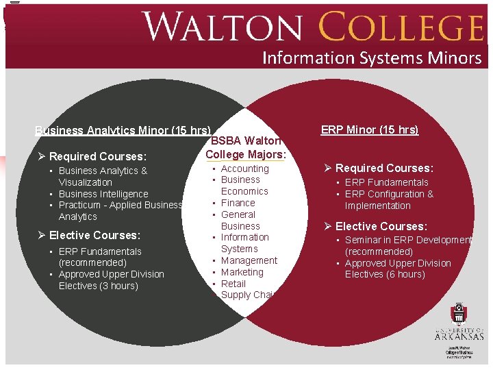 Information Systems Minors BUSINESS ANALYTICS ENTERPRISE RESOURCE PLANNING Interdisciplinary Minor ERP Minor (15 hrs)