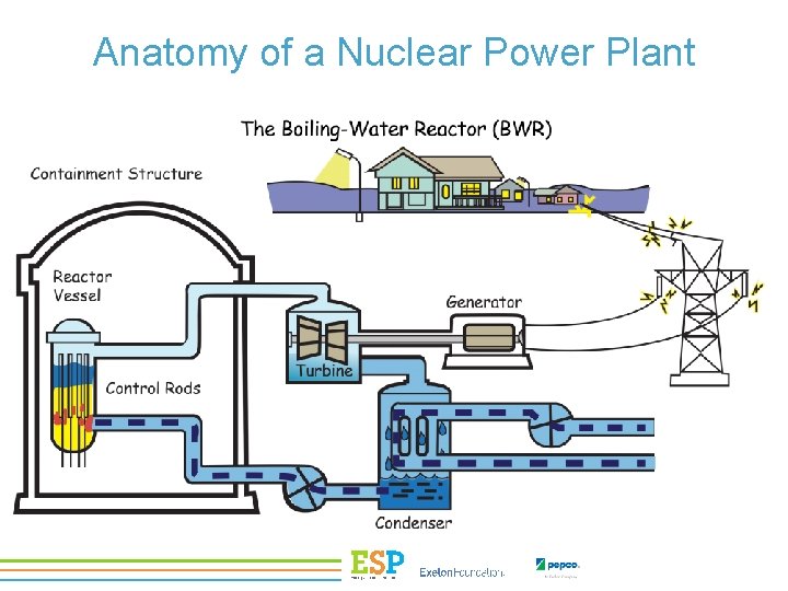 Anatomy of a Nuclear Power Plant 