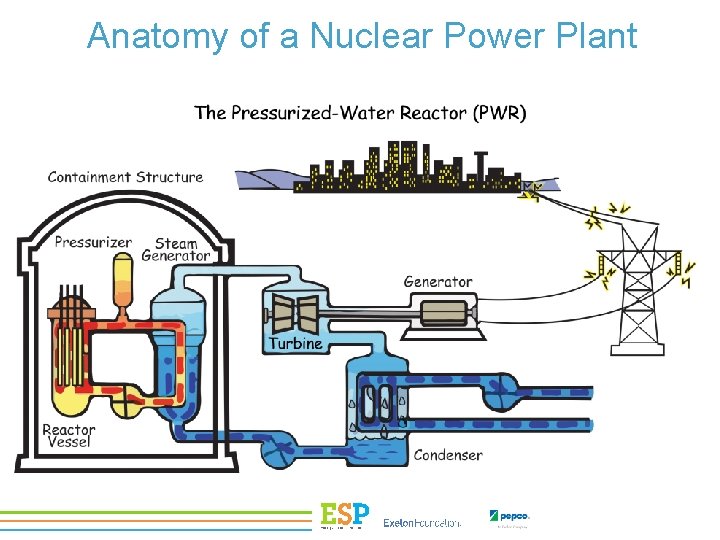 Anatomy of a Nuclear Power Plant 