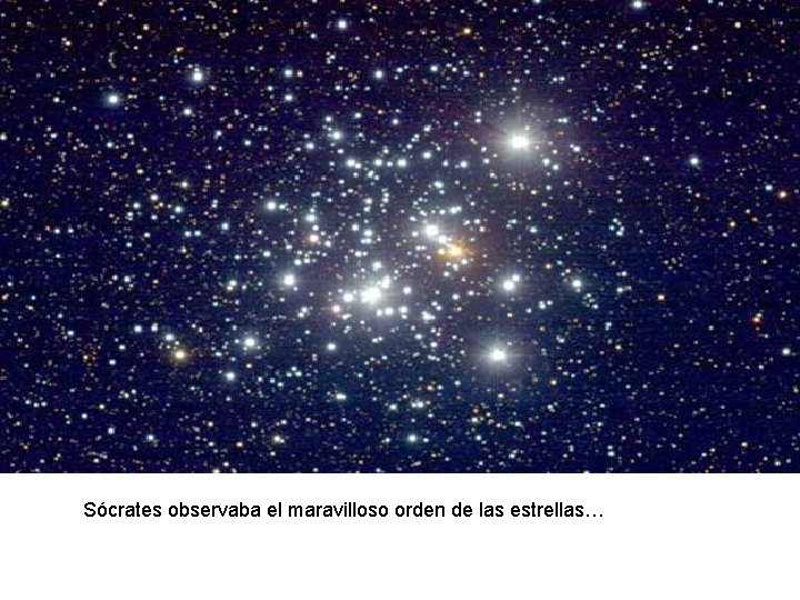 Sócrates observaba el maravilloso orden de las estrellas… Sócrates observaba el maravilloso orden de las estrellas…